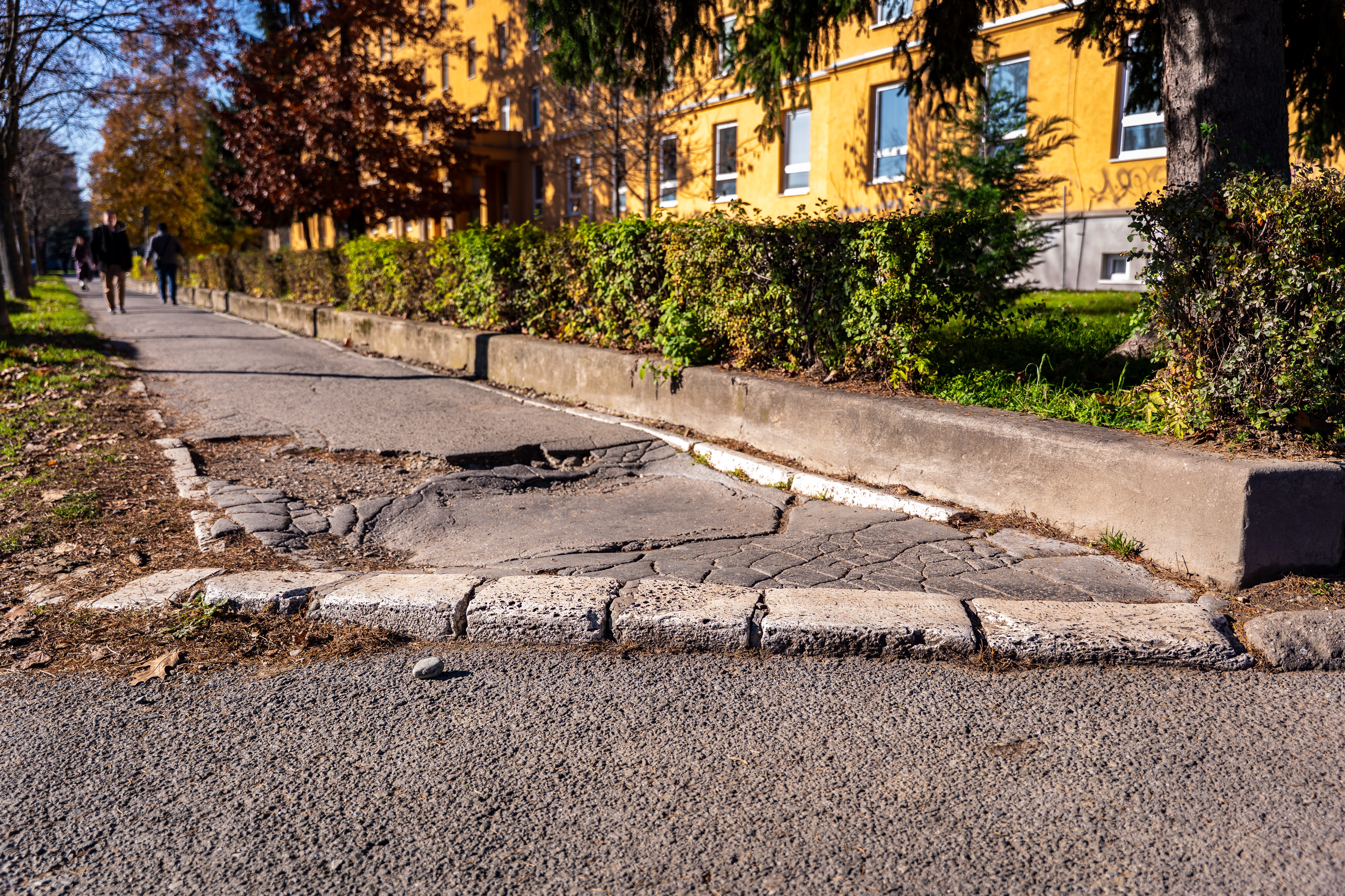 Kontrolny den - Park Vysokoskolska -20